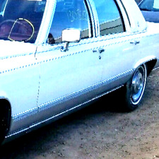 Cadillac Brougham : 1990, 1991, 1992, Left, Driver, Front Door, Lower Cladding picture