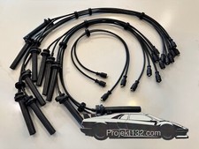 Lamborghini Diablo Spark Plug Wire Set  picture