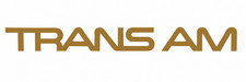 Vinyl Decals Racing Graphics Fits / Compatible Pontiac Trans Am Firebird - 2 picture