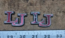 (2) 1980-1984 Pontiac Phoenix Lj Emblem OEM GM Fender Quarter Moulding Trim picture