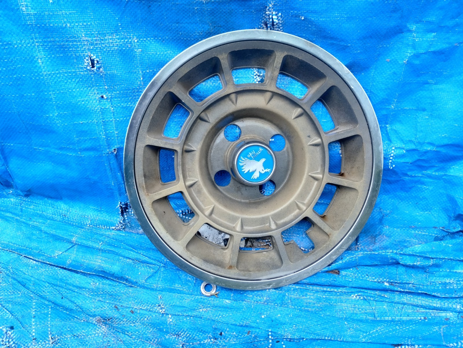 Buick Skyhawk Hubcap Rim Wheel Cover Hub Cap 1979 79 1980 80 13
