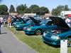 4 Turquoise Mustangs