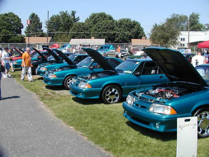 4 Turquoise Mustangs
