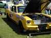 1965 Shelby