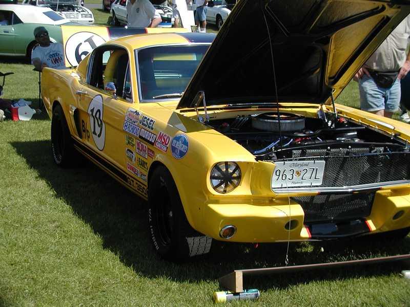 1965 Shelby