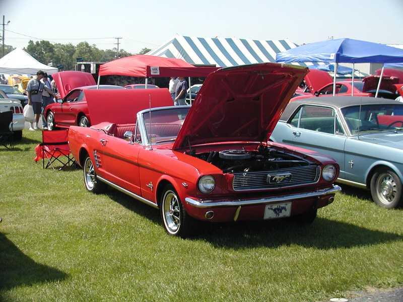 1965  Mustang
