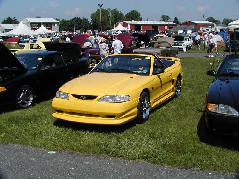 2003  Mustang