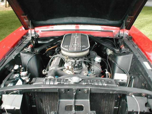 '67 Shelby
