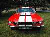1967 Mustang Shelby