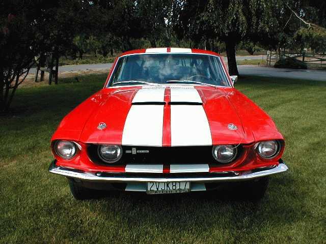 1967 Mustang Shelby
