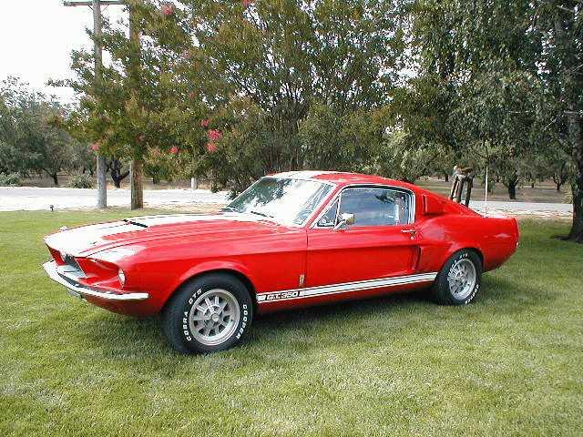 1967 350 GT Shelby 