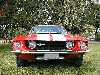 1967 Mustang Shelby
