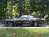 81 Camaro Z/28