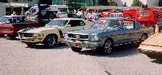 Two Mustangs