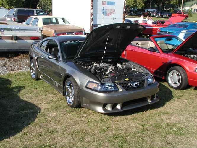 Mustang