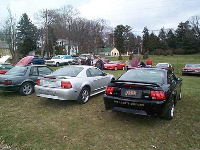 Pack -o- Stangs