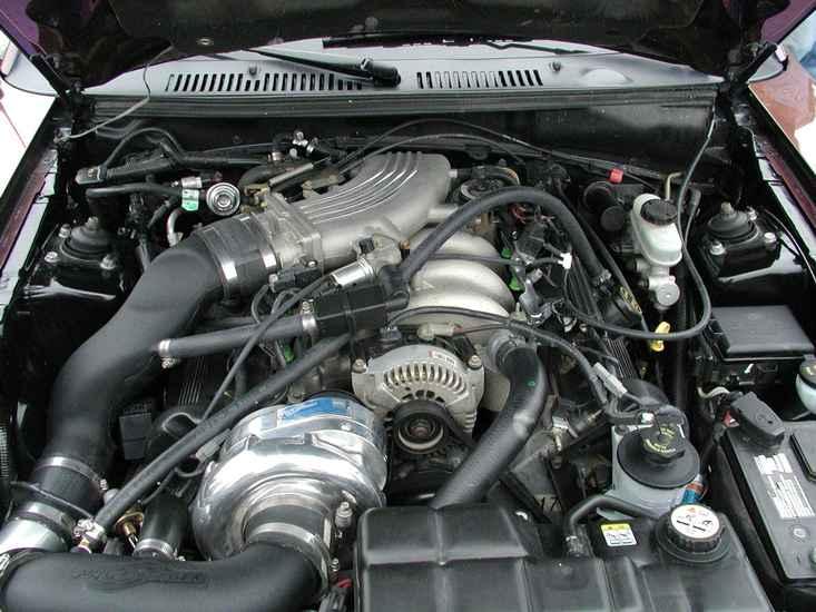 Mustang