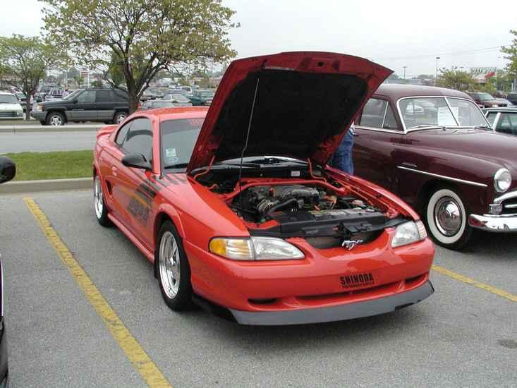 Mustang