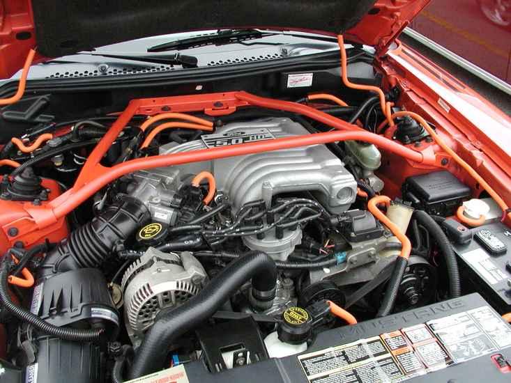 Mustang