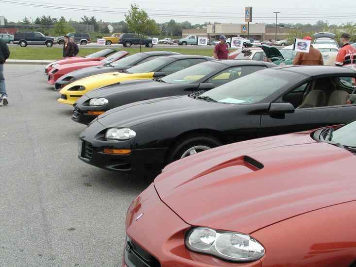 The Lineup