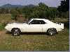 1969 Trans Am