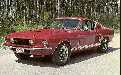 Shelby GT 500