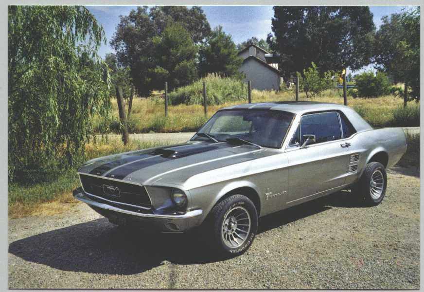 1967  Mustang