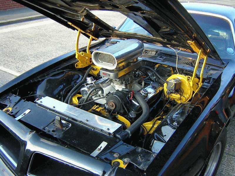 1976  Trans Am