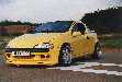 Tigra 1