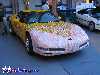 2000 Corvette