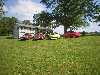 Lot's of Camaros