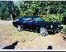 1966 Mustang