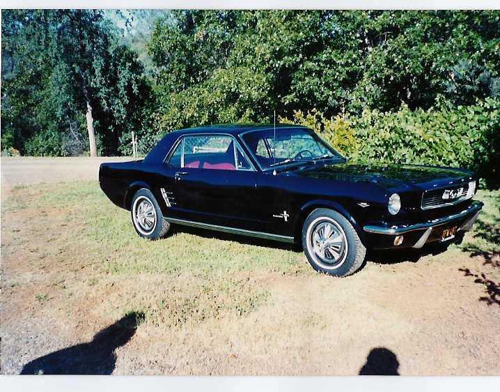 1966  Mustang
