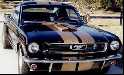 '66 Mustang