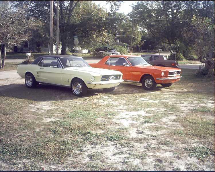 66 & 67 Mustangs