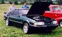 Mustang 5.0