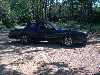 '85 Monte Carlo