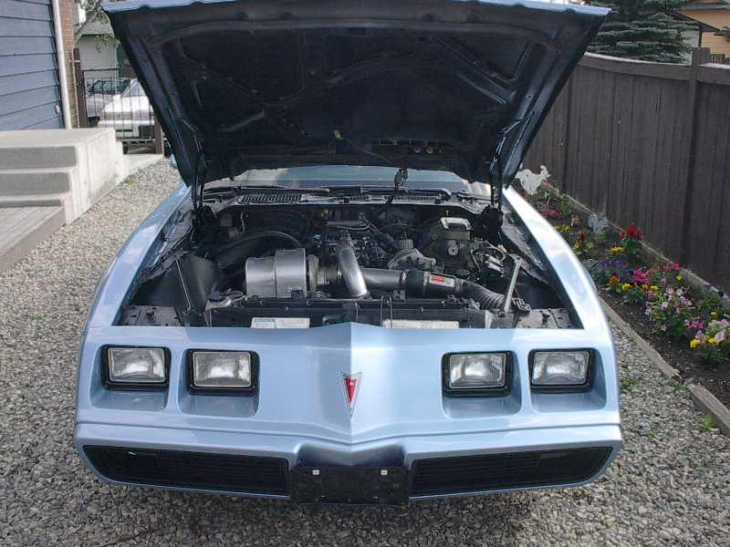 '81 Trans Am