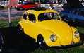 Yellow Beetle