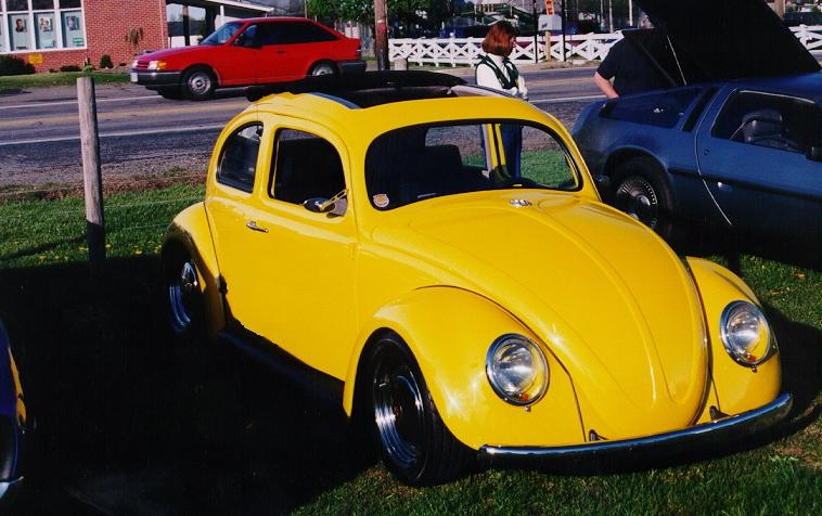 Yellow Beetle