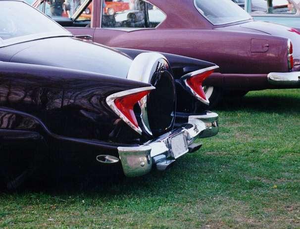 Fins