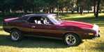 1973 Javelin